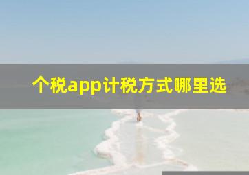 个税app计税方式哪里选