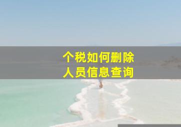 个税如何删除人员信息查询