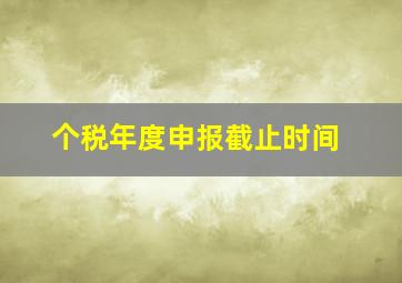 个税年度申报截止时间