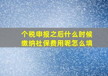 个税申报之后什么时候缴纳社保费用呢怎么填