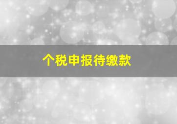 个税申报待缴款