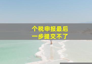 个税申报最后一步提交不了