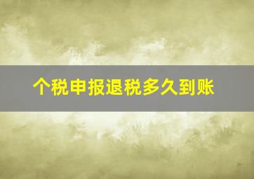 个税申报退税多久到账