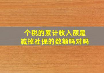 个税的累计收入额是减掉社保的数额吗对吗