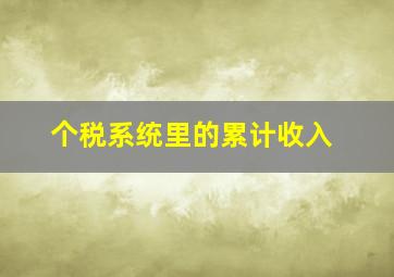 个税系统里的累计收入