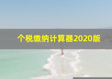 个税缴纳计算器2020版