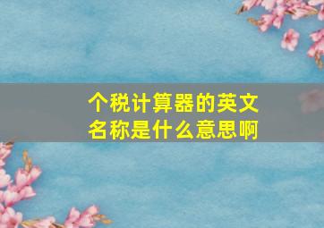 个税计算器的英文名称是什么意思啊