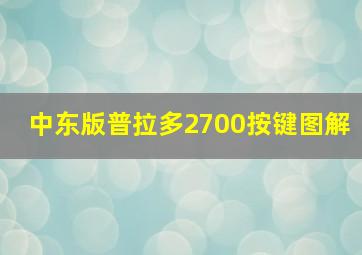 中东版普拉多2700按键图解