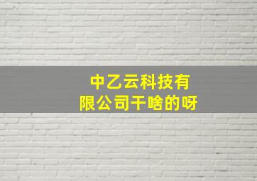 中乙云科技有限公司干啥的呀