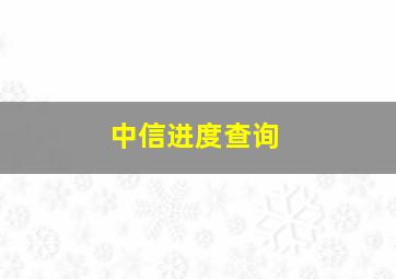 中信进度查询