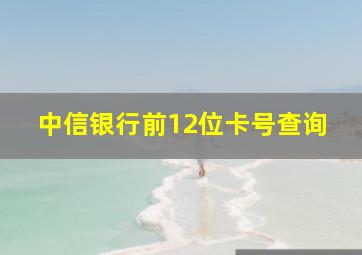 中信银行前12位卡号查询