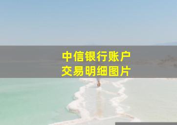 中信银行账户交易明细图片