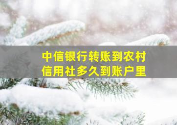 中信银行转账到农村信用社多久到账户里