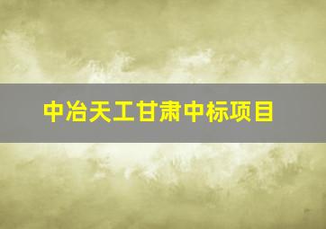 中冶天工甘肃中标项目