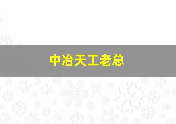 中冶天工老总