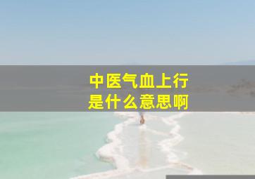 中医气血上行是什么意思啊