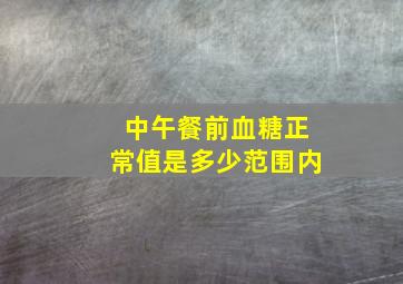 中午餐前血糖正常值是多少范围内