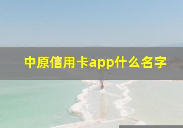 中原信用卡app什么名字