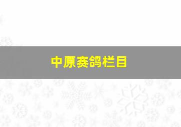 中原赛鸽栏目