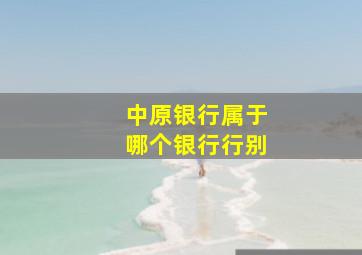 中原银行属于哪个银行行别