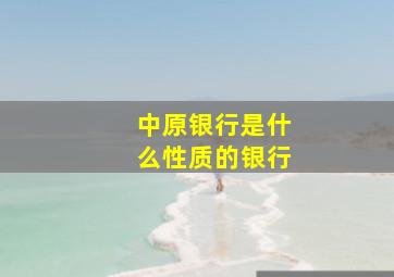 中原银行是什么性质的银行