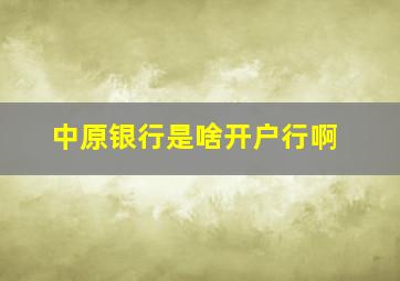 中原银行是啥开户行啊