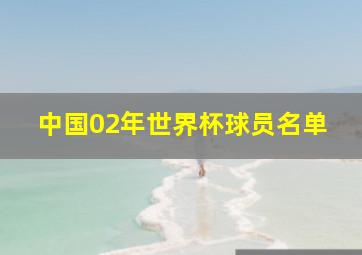 中国02年世界杯球员名单