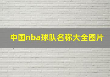 中国nba球队名称大全图片