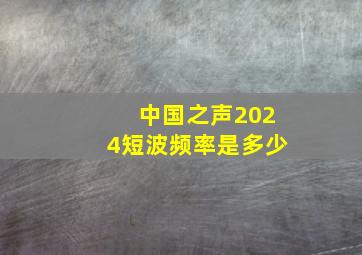 中国之声2024短波频率是多少