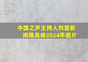 中国之声主持人刘蕾新闻晚高峰2024年图片