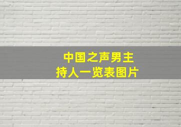 中国之声男主持人一览表图片