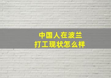 中国人在波兰打工现状怎么样