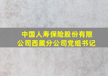 中国人寿保险股份有限公司西藏分公司党组书记