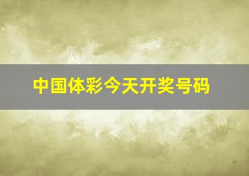 中国体彩今天开奖号码