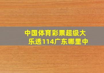 中国体育彩票超级大乐透114广东哪里中