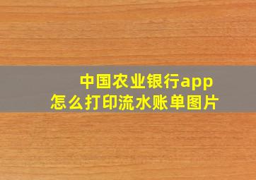 中国农业银行app怎么打印流水账单图片