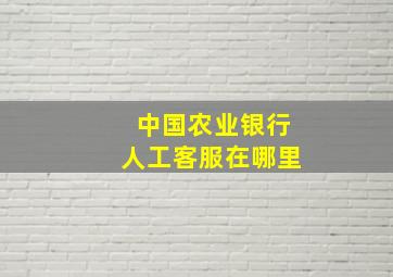 中国农业银行人工客服在哪里