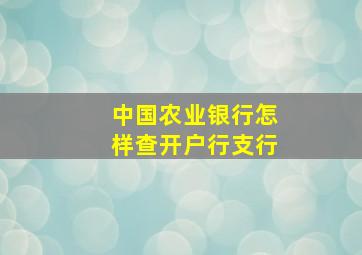 中国农业银行怎样查开户行支行