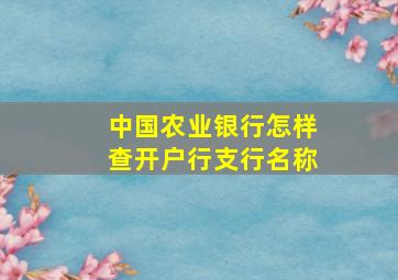 中国农业银行怎样查开户行支行名称