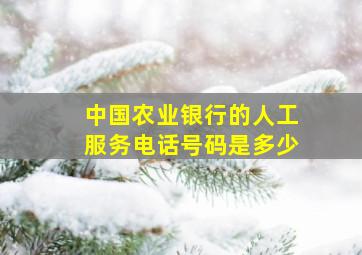 中国农业银行的人工服务电话号码是多少