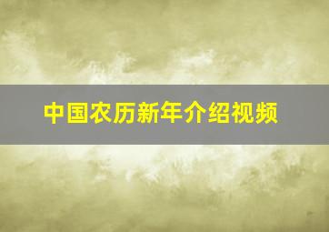 中国农历新年介绍视频