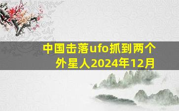 中国击落ufo抓到两个外星人2024年12月