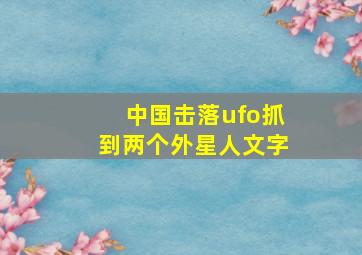 中国击落ufo抓到两个外星人文字