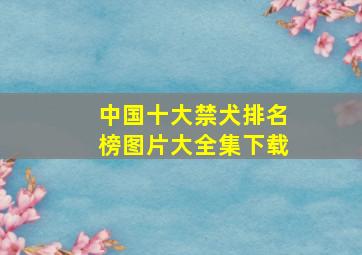 中国十大禁犬排名榜图片大全集下载