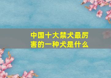 中国十大禁犬最厉害的一种犬是什么