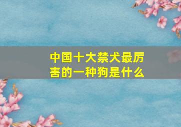 中国十大禁犬最厉害的一种狗是什么