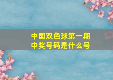 中国双色球第一期中奖号码是什么号