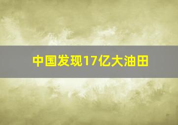 中国发现17亿大油田