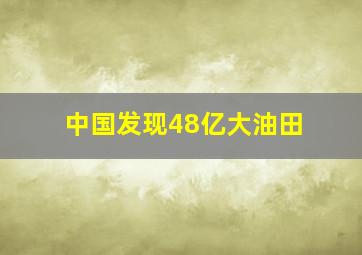 中国发现48亿大油田