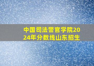 中国司法警官学院2024年分数线山东招生